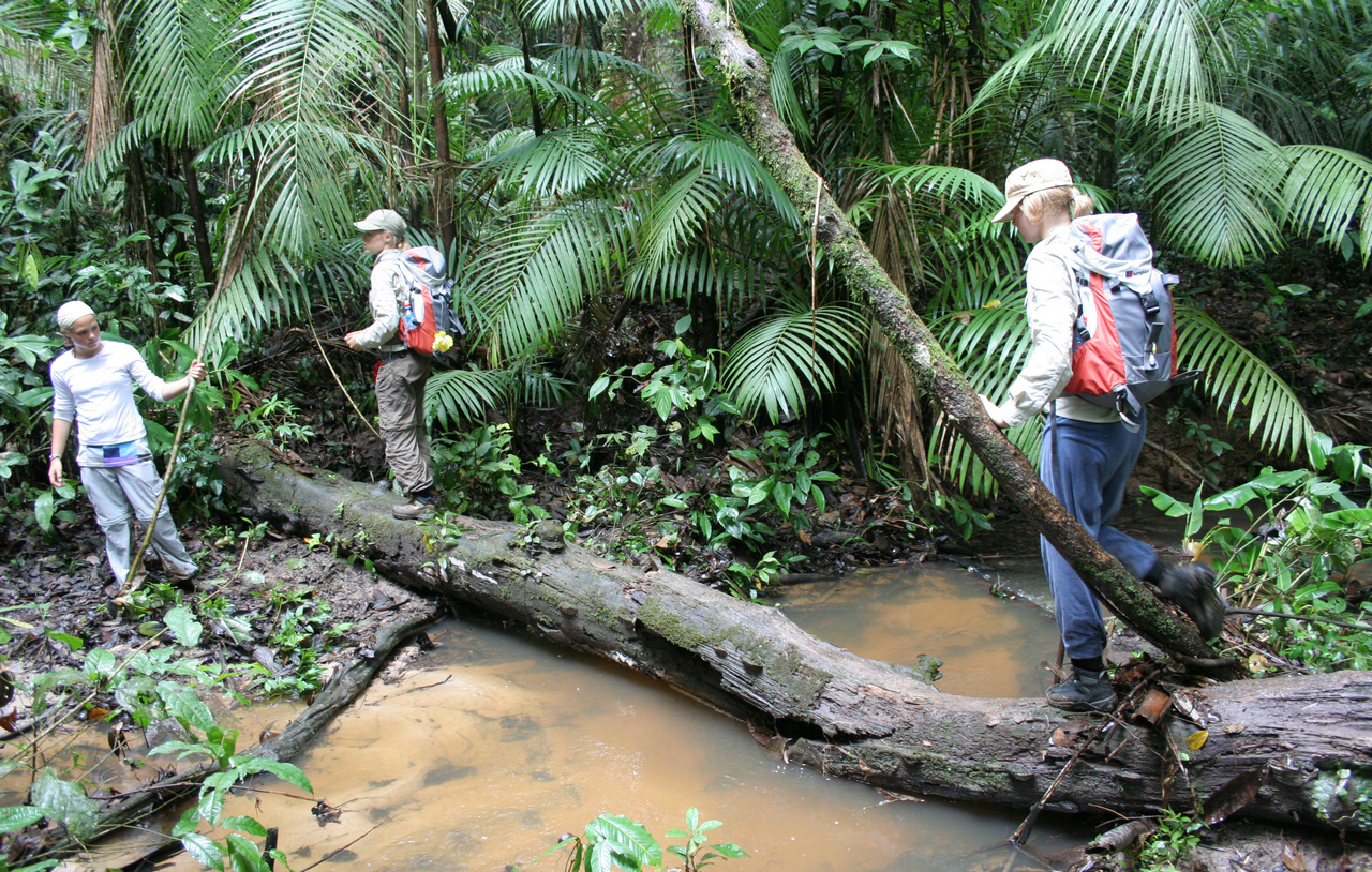 Foto fra Surinam – Trek to Volzberg Mountain