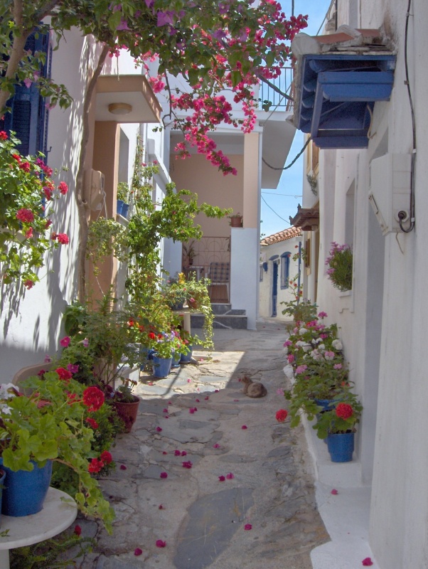 Foto fra Skopelos, Hellas – Skopelos07lane