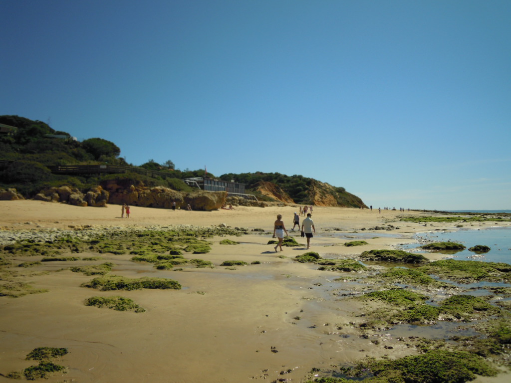 Foto fra Praia da Oura, Portugal – P290 Praia da Oura Albufeira 1 May