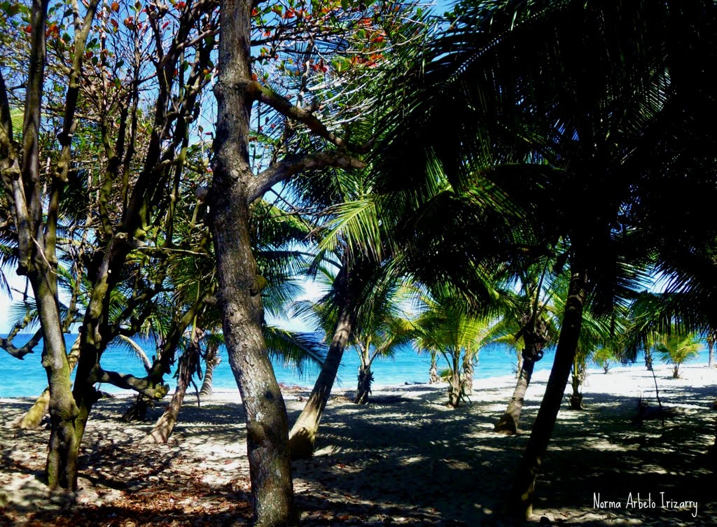 Foto fra Puerto Rico, Kanariøyene – Beach in Coto, Isabela, Puerto Rico