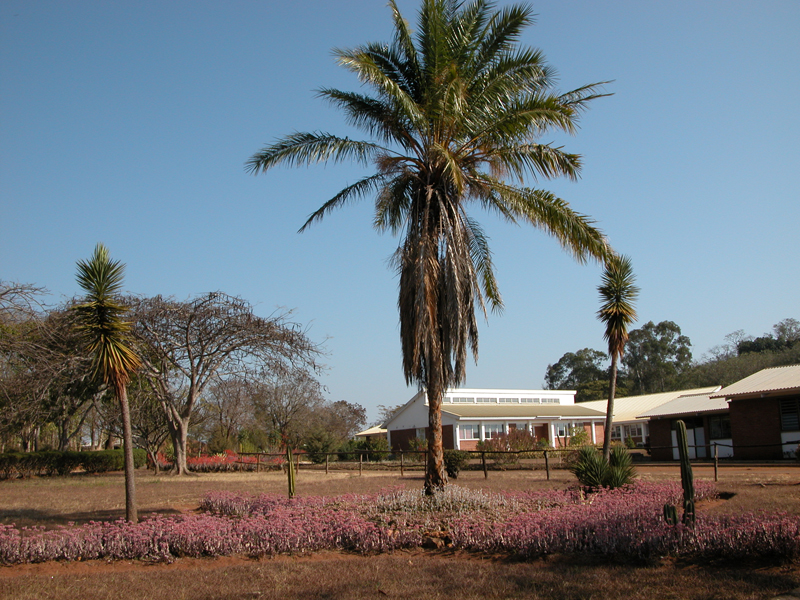 Foto fra Lilongwe, Malawi – Bunda college