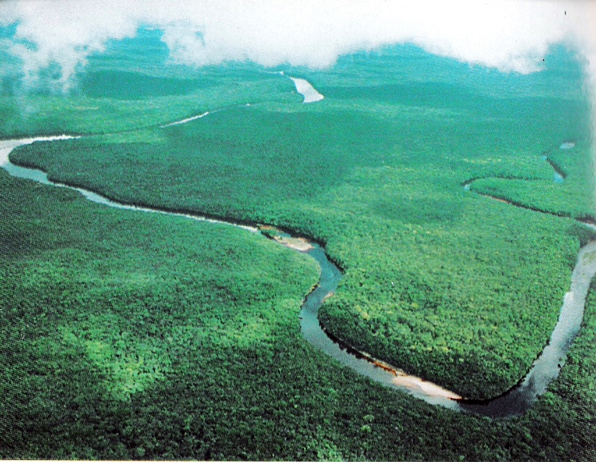 Foto fra Río Orinoco, Venezuela – Deltaorinoco