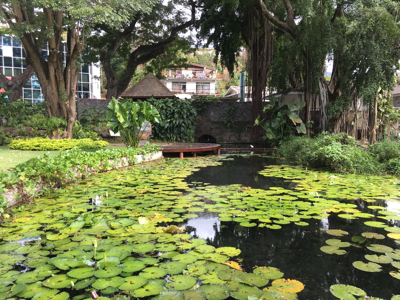 Foto fra Papeetē, Tahiti – Bassin de la Reine