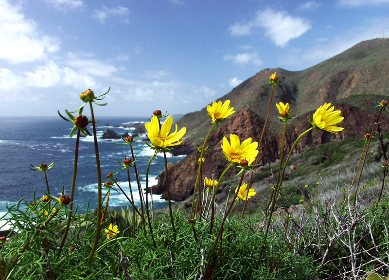 Foto fra Baja California, Mexico – Baja coast