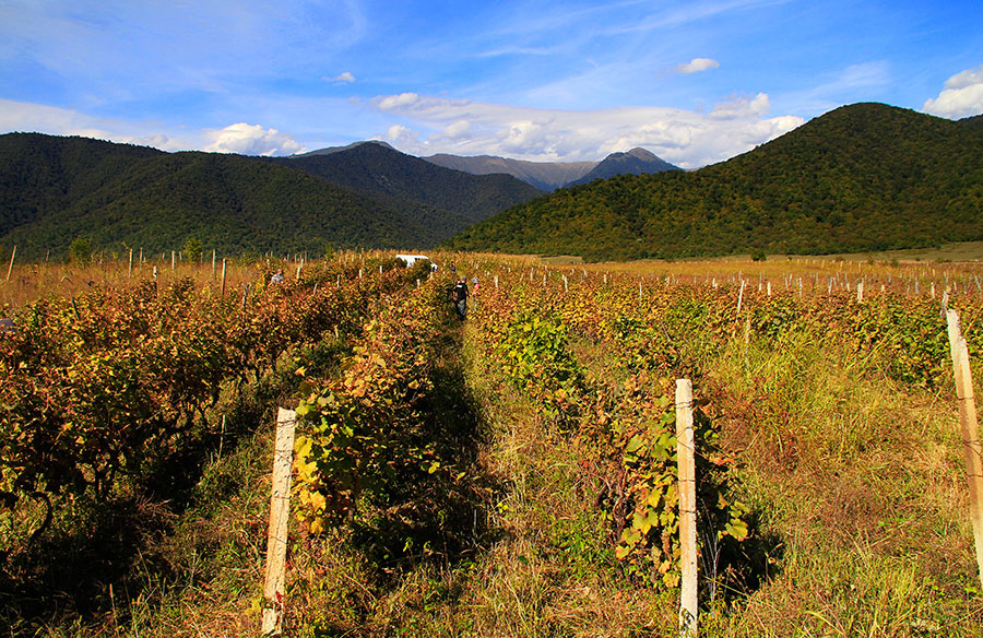 Kakheti i Georgia