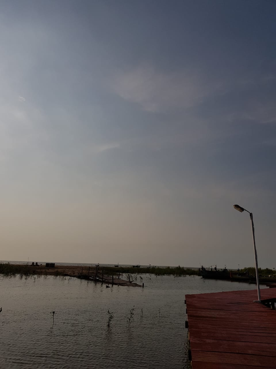Foto fra Java, Indonesia – Hutan mangrove Pasarbanggi di siang hari