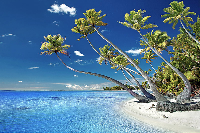 Foto fra Rangiroa, Tahiti – 1 Rangiroa Uninhabited Motu
