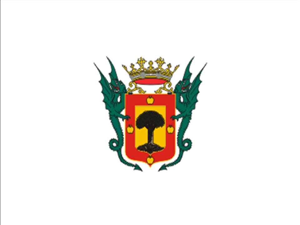 Foto fra La Orotava, Kanariøyene – Bandera de La Orotava