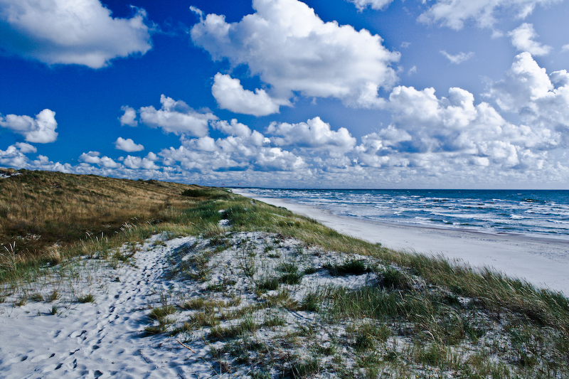 Foto fra Palanga, Litauen – Palanga Beach