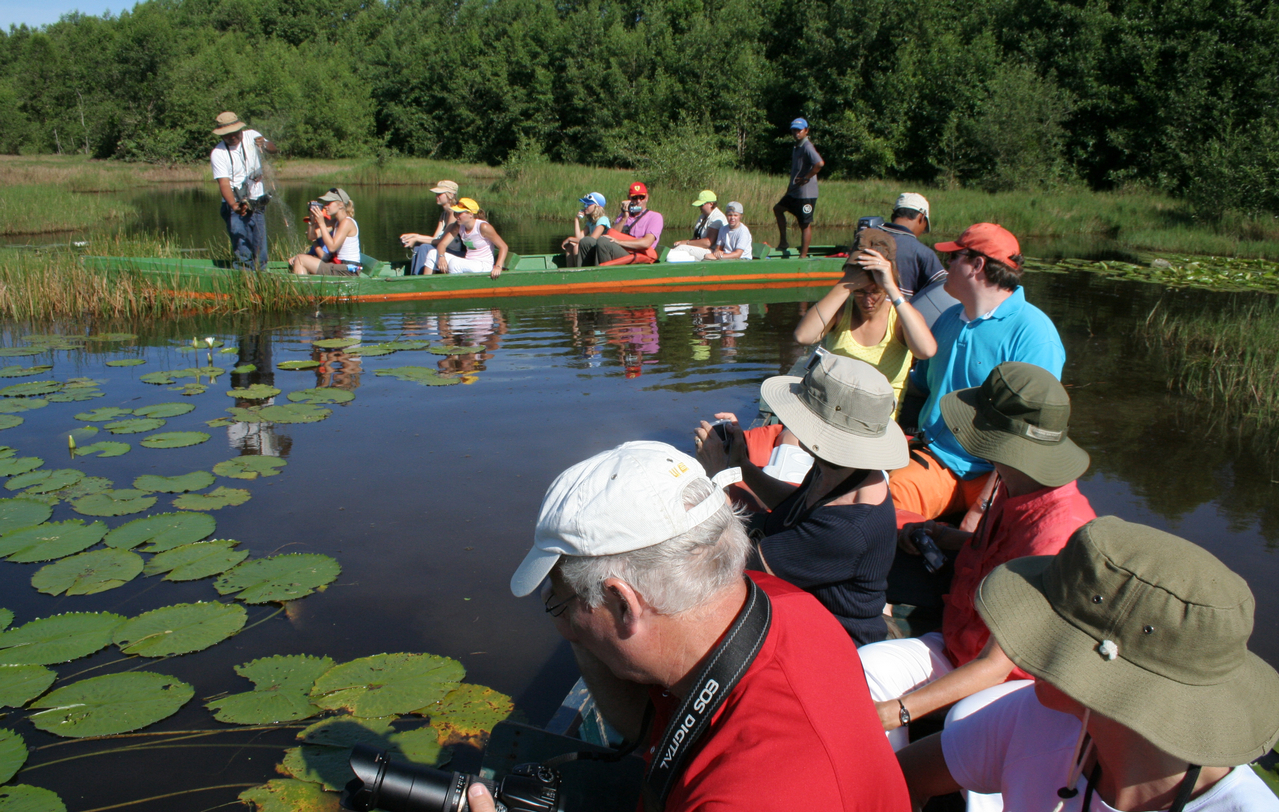 Foto fra Surinam – Bigi Pan Nature Reserve