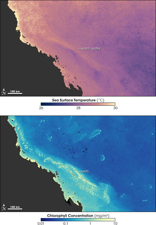 Foto fra Great Barrier Reef, Australia – GBReef TempChlorophyll 200602