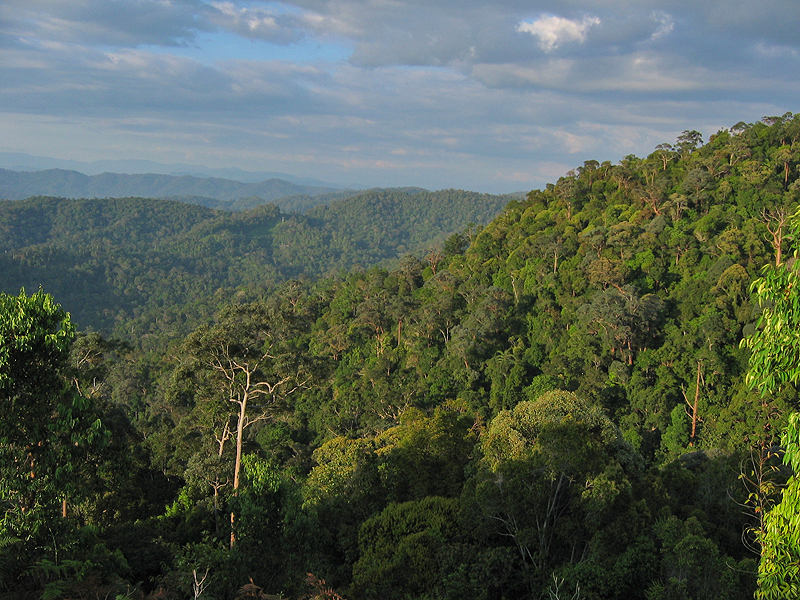 Taman Negara