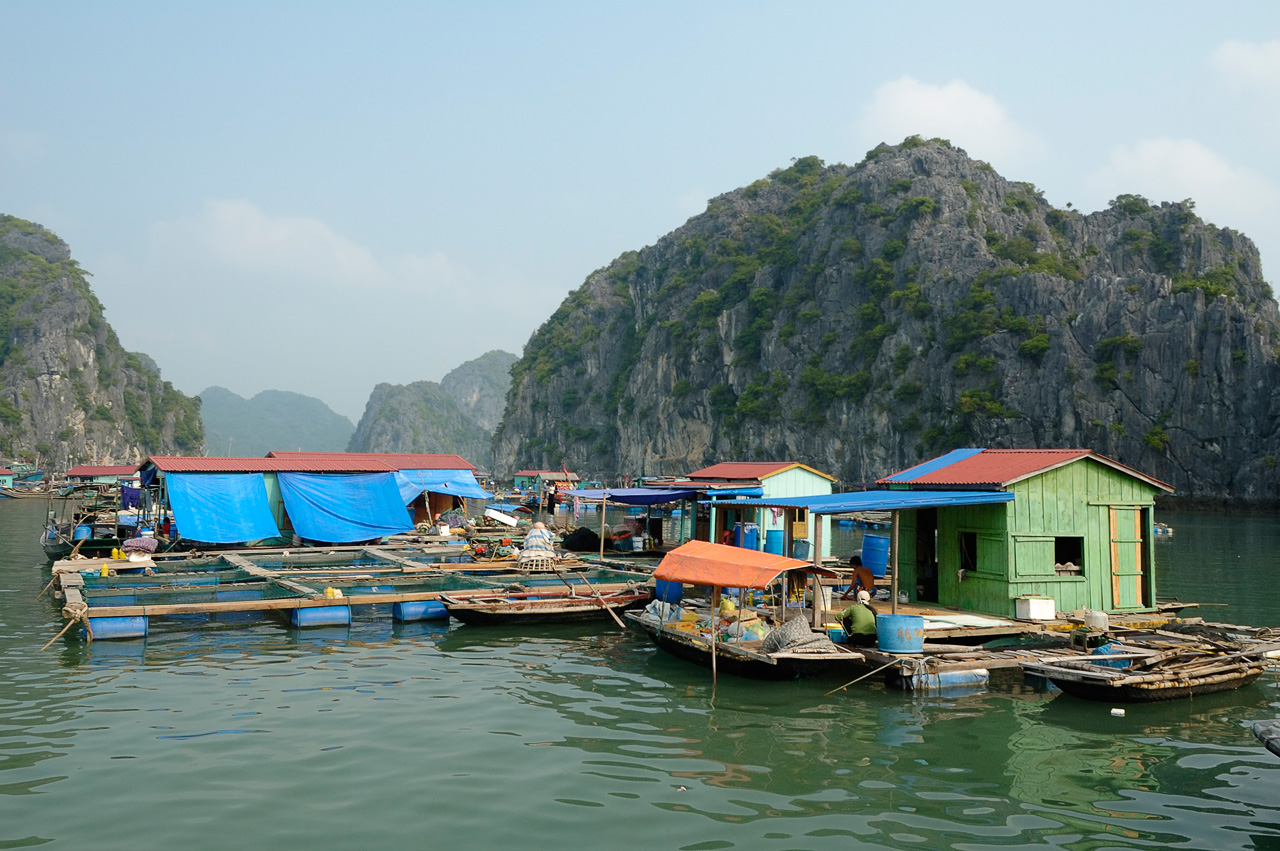 Foto fra Halong Bay, Vietnam – FishingVillage HaLongBay Vietnam (pixinn.net)