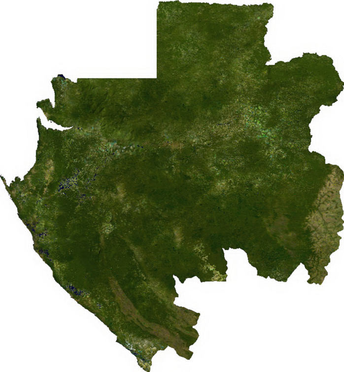 Foto fra Gabon – Gabon sat