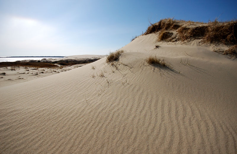 Foto fra Curonian Spit, Litauen – Nidos kopos