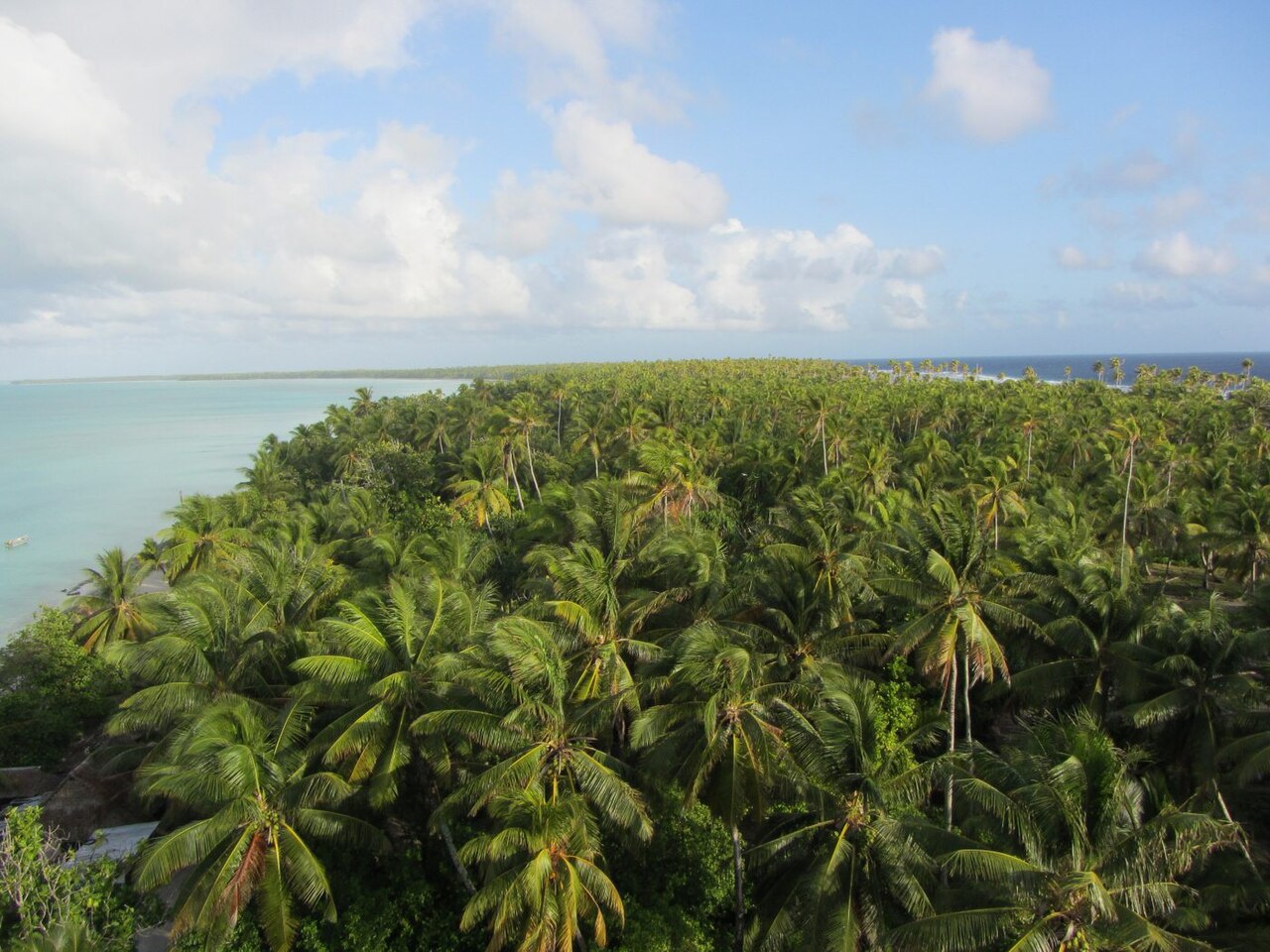 Foto fra Kiribati – Abaiang top view