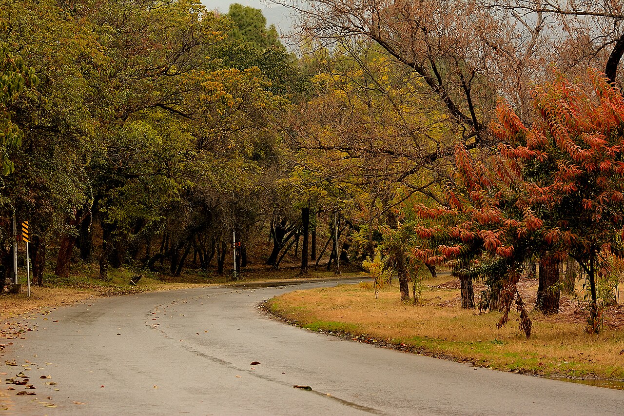 Foto fra Islamabad, Pakistan – Ataturk Avenue - Islamabad