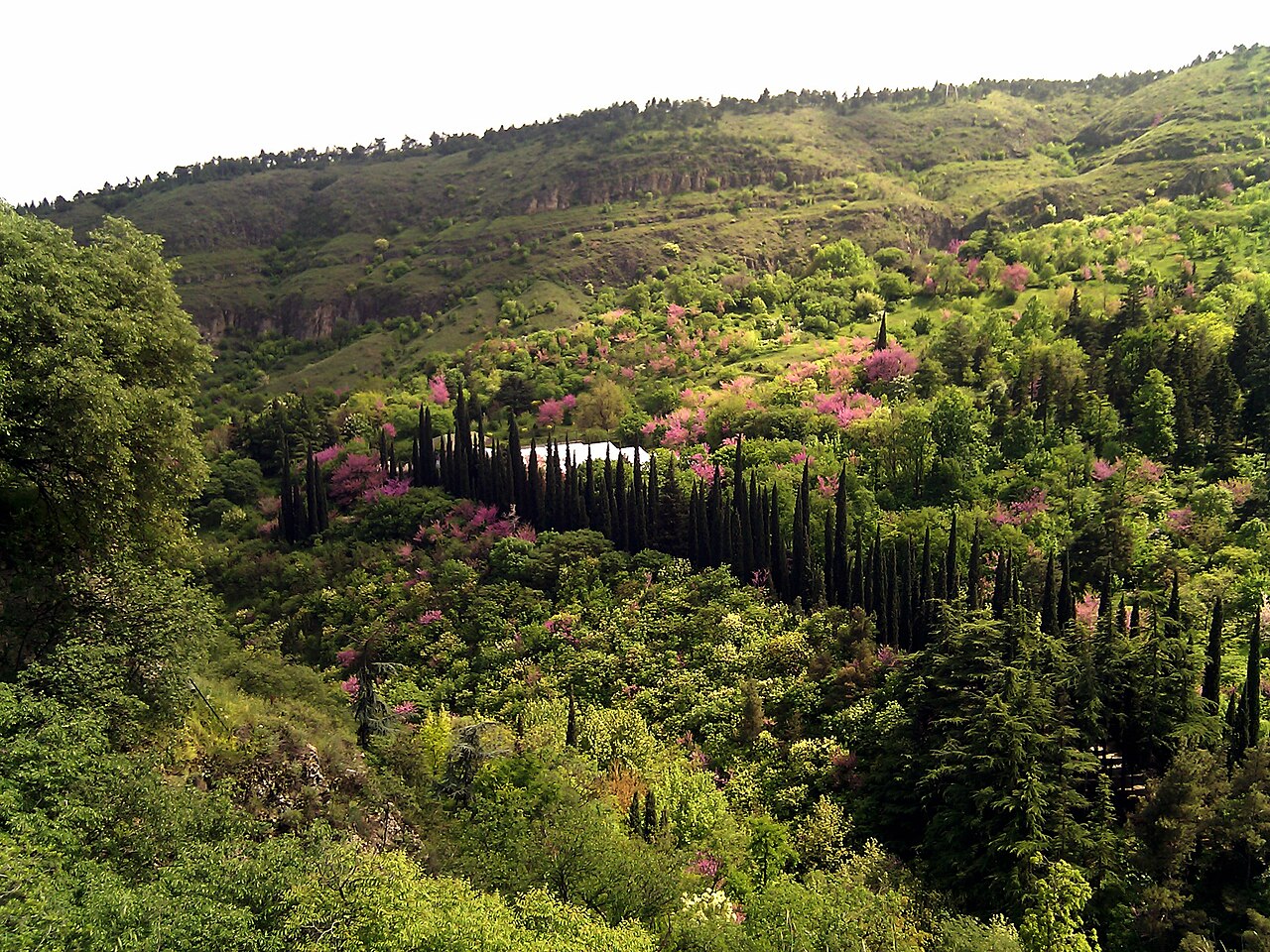 Foto fra Tbilisi, Georgia – Botanic Garden, Tbilisi
