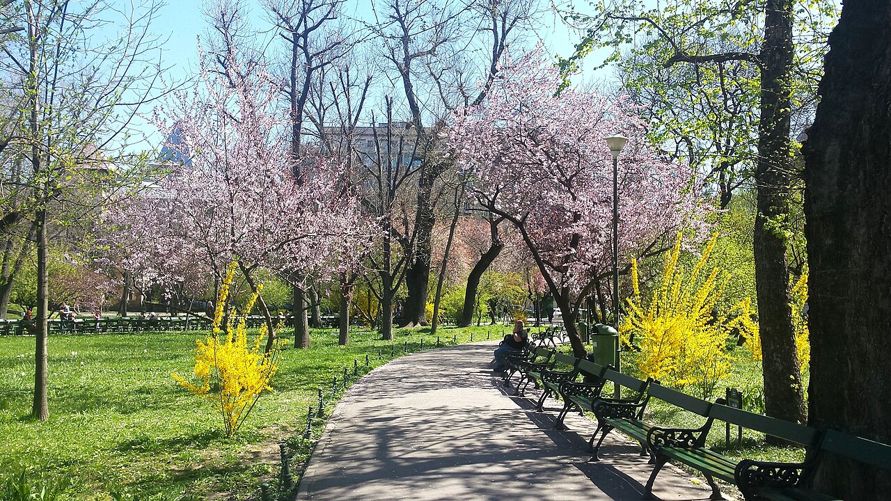Foto fra Bucuresti, Romania – Cismigiu, Bucuresti