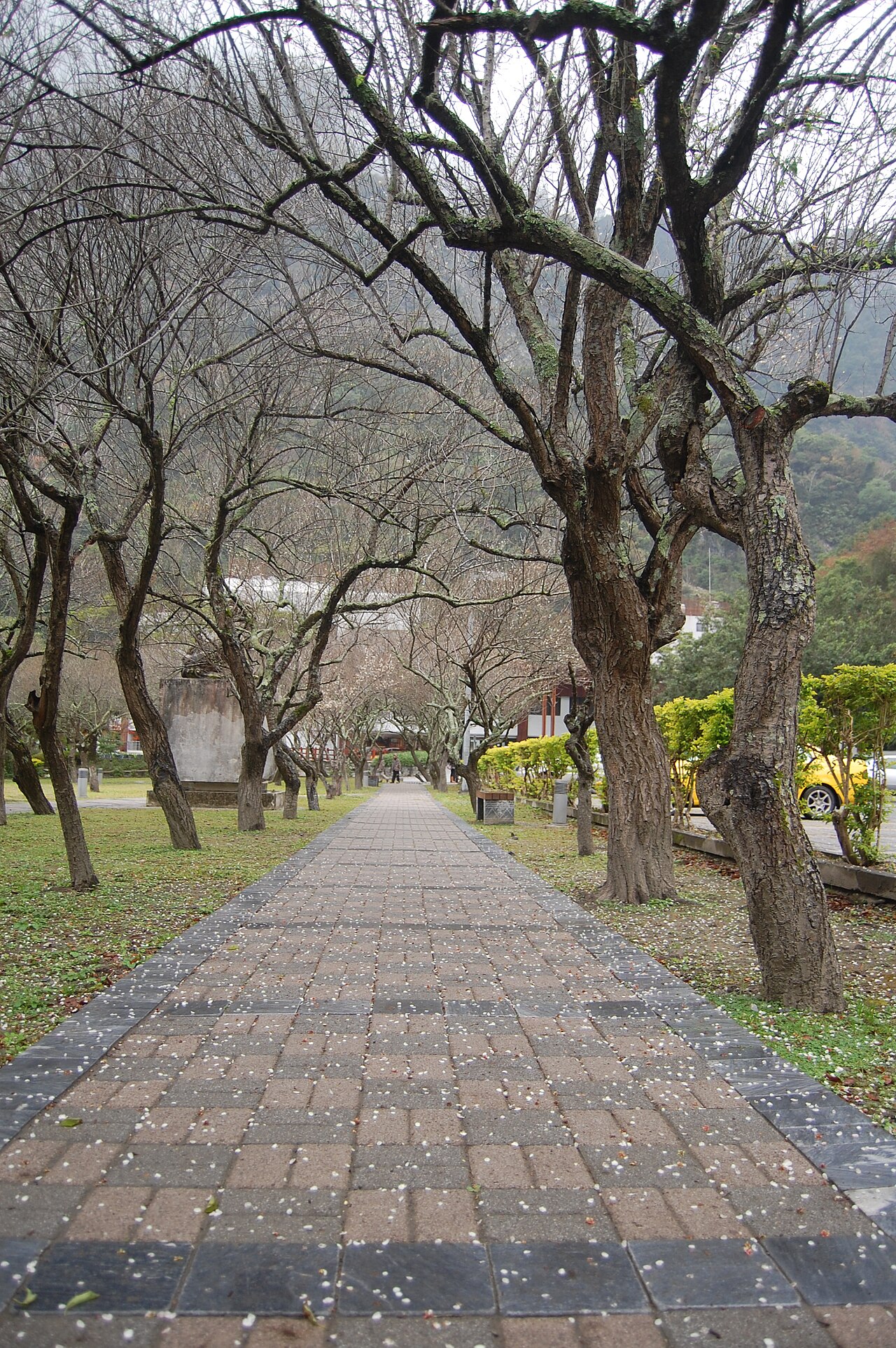 Foto fra Tienhsiang, Taiwan – Tienhsiang in Taroko National Park