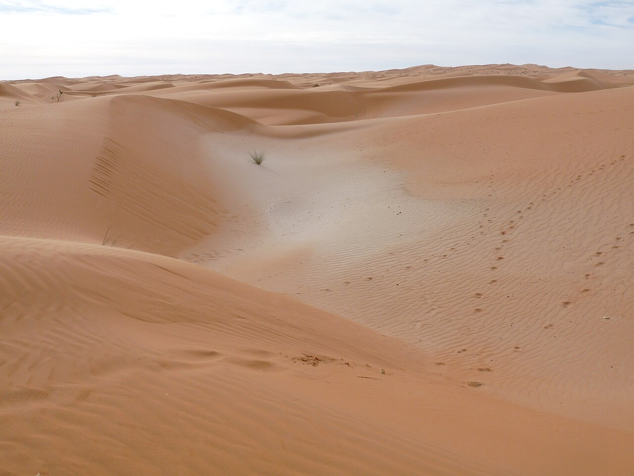 Foto fra Mauritania – Adrar sands
