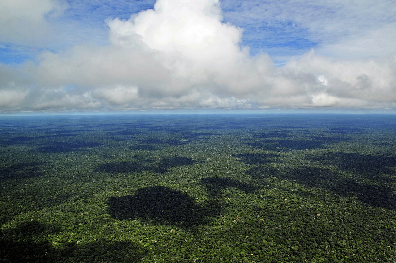 Foto fra Guyana – Amazon CIAT