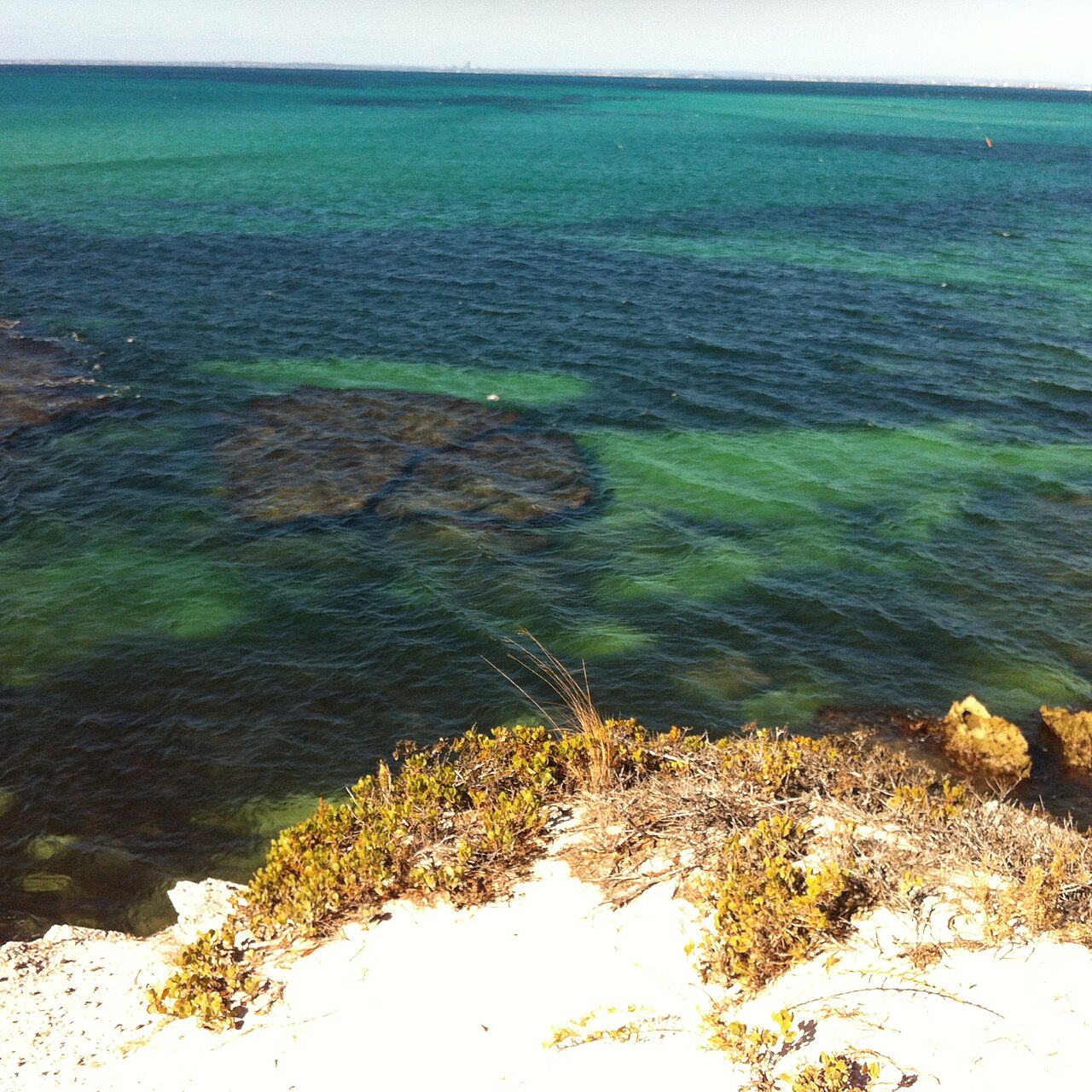 Perth - Rottnes Island i Australia