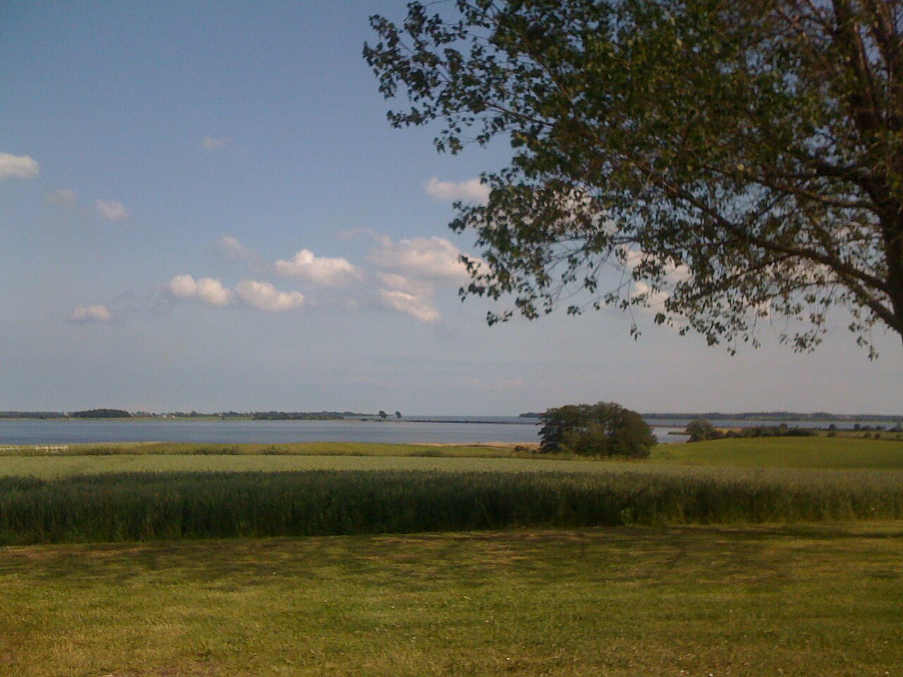 Foto fra Møn, Danmark – Bogø Møn view