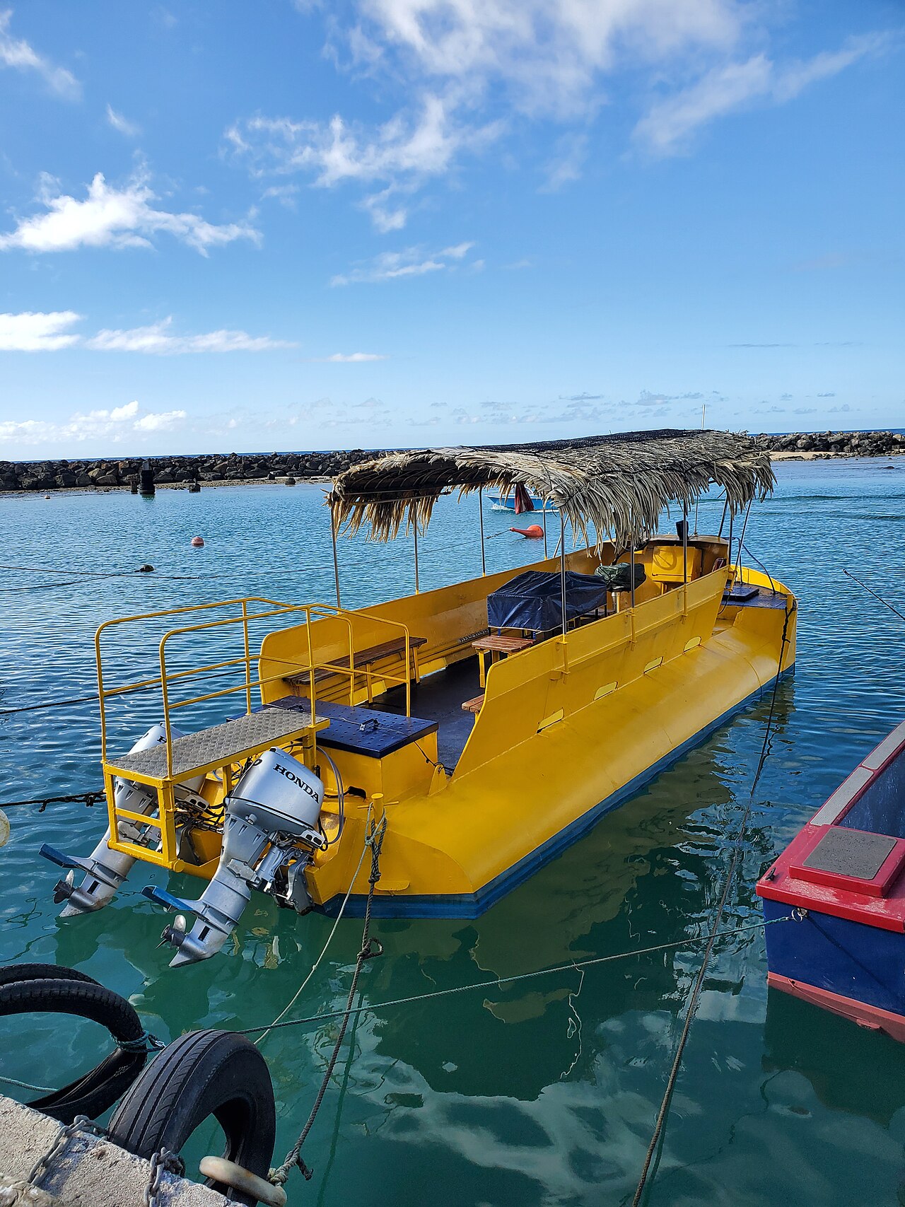 Foto fra Cookøyene – Raro Reef Sub