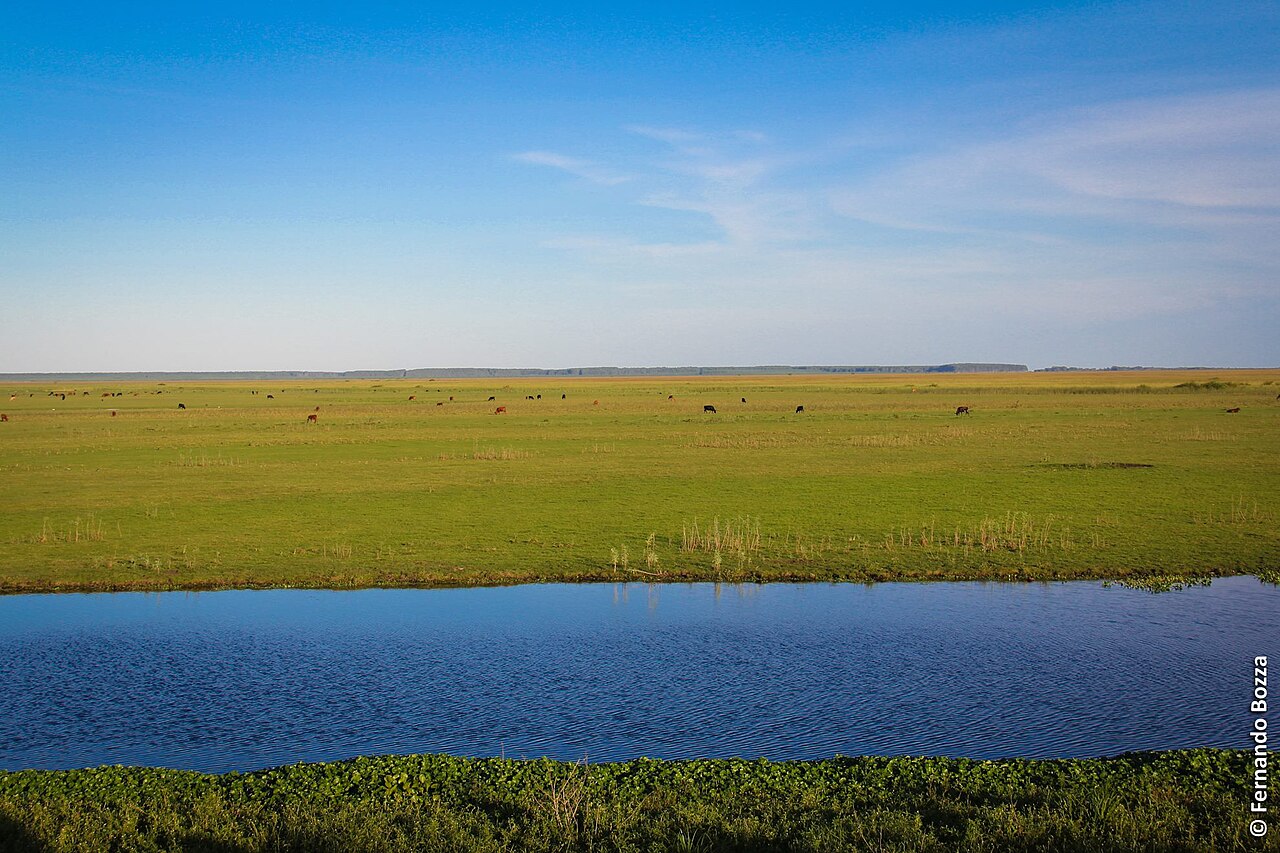 Foto fra Pampas, Argentina – Estação Ecológica do Taim
