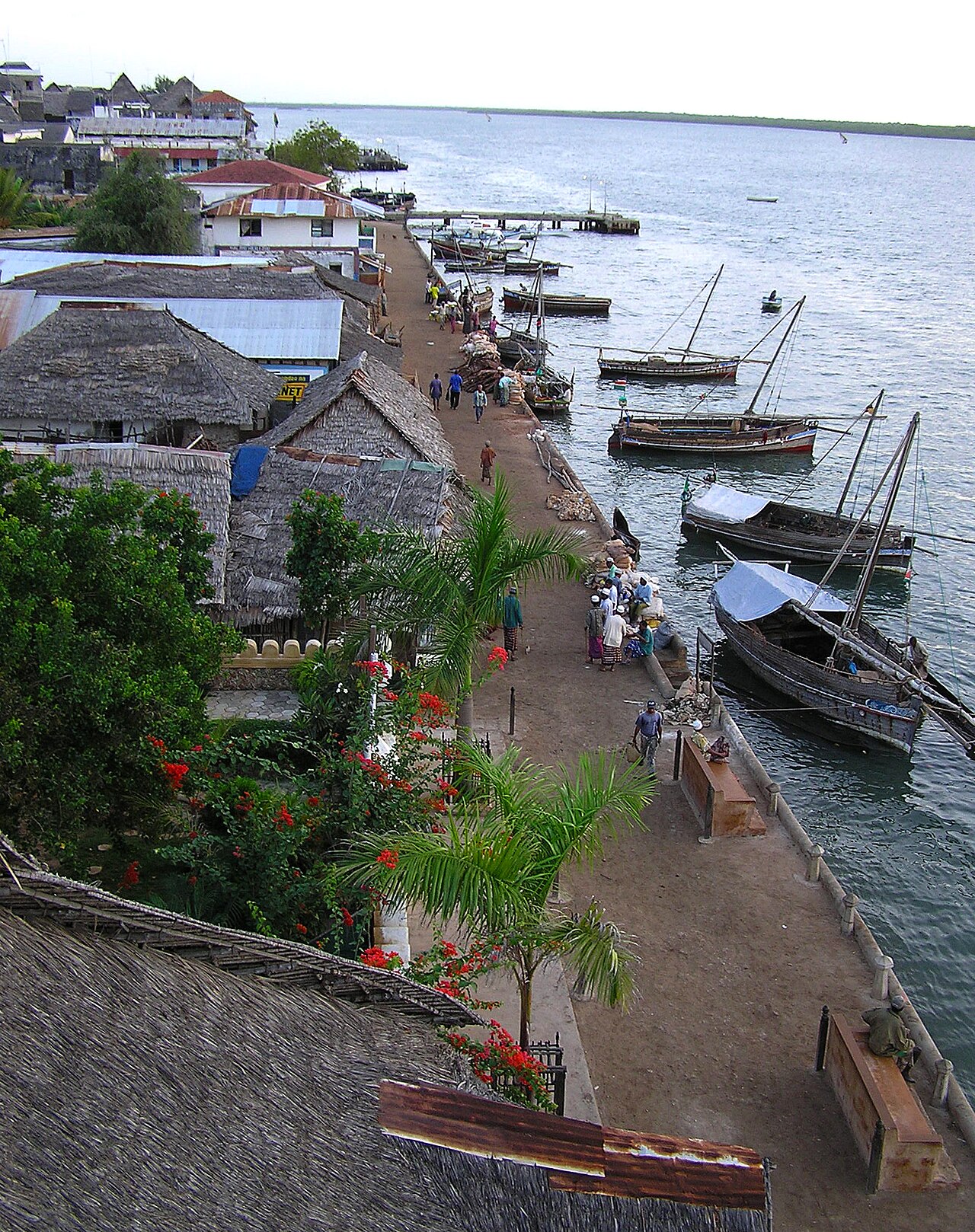 Foto fra Lamu, Kenya – Lamu coast