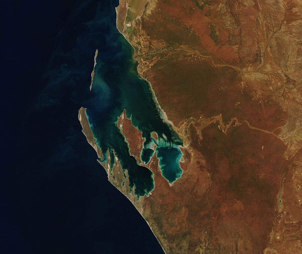 Perth - Underwater World i Australia