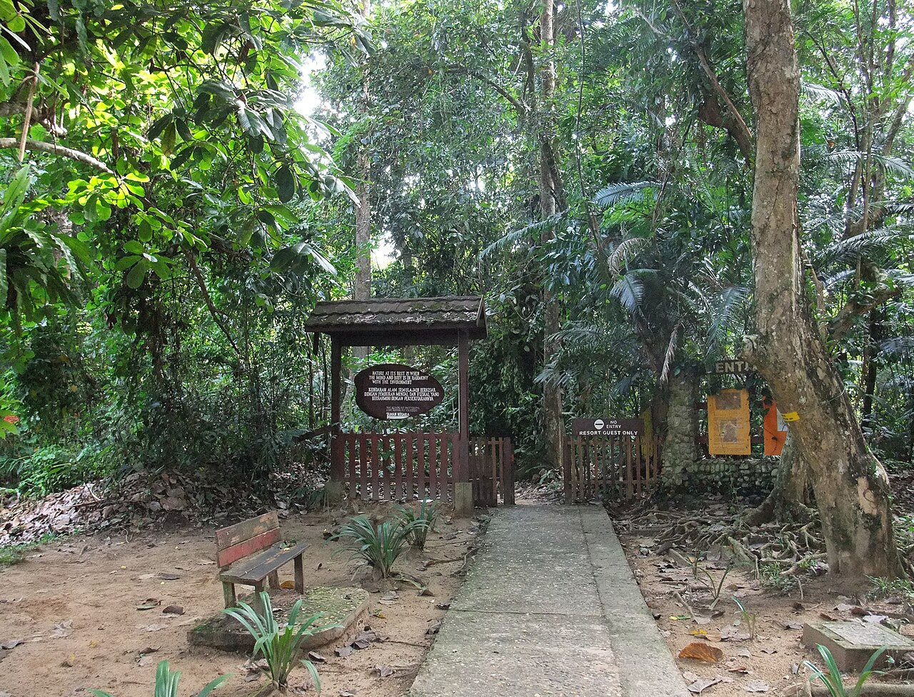 Foto fra Taman Negara, Malaysia – Taman Negara Entrance