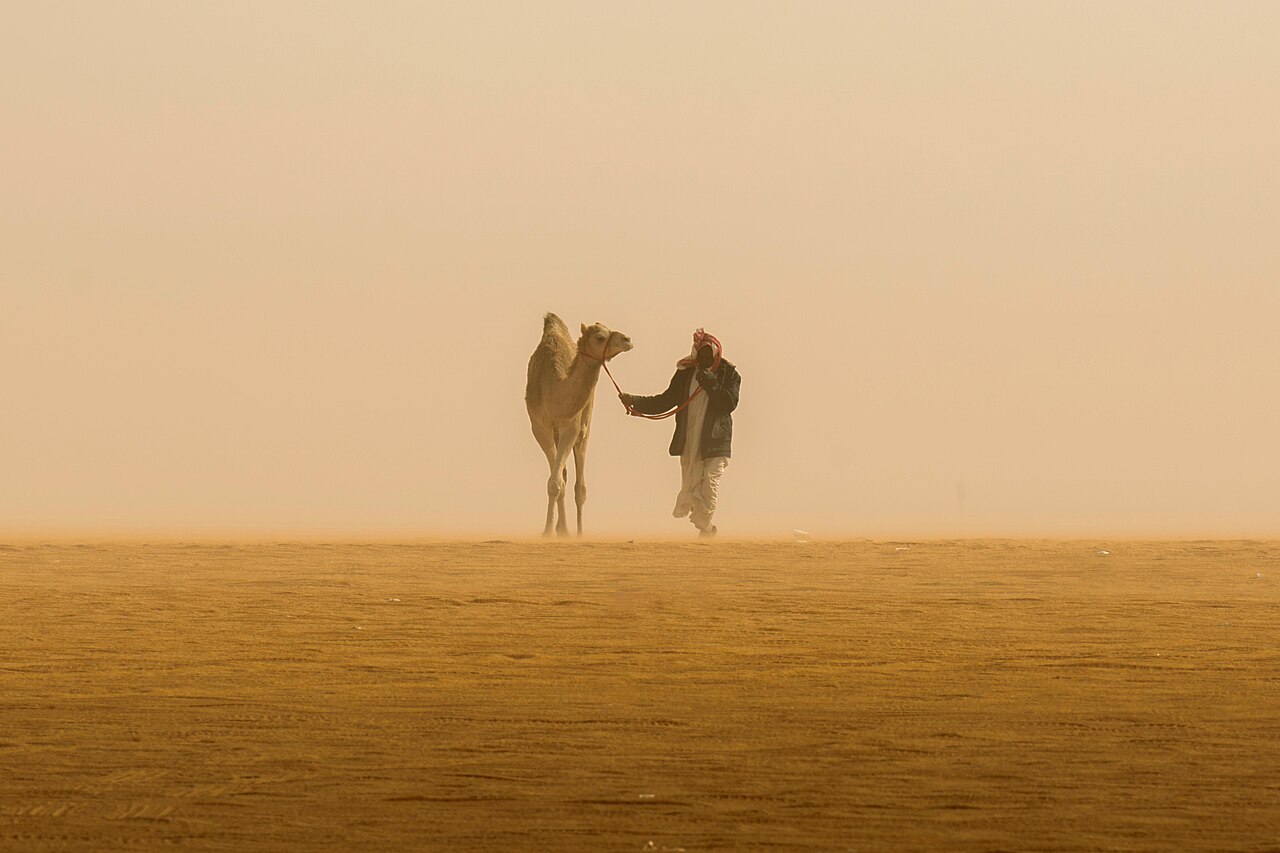 Foto fra Saudi-Arabia – راع يقود جمله