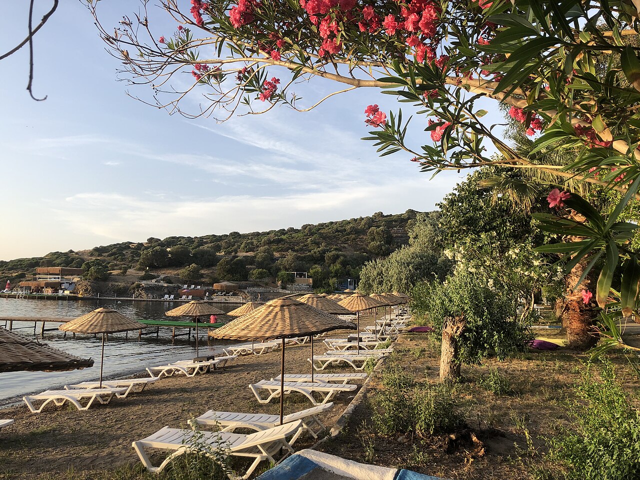 Foto fra Foca, Tyrkia – Eski Foça Koyları, Kumsal