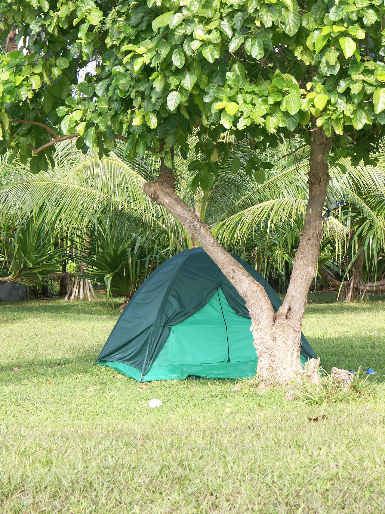 Foto fra Marshalløyene – Marshall Islands PICT1417