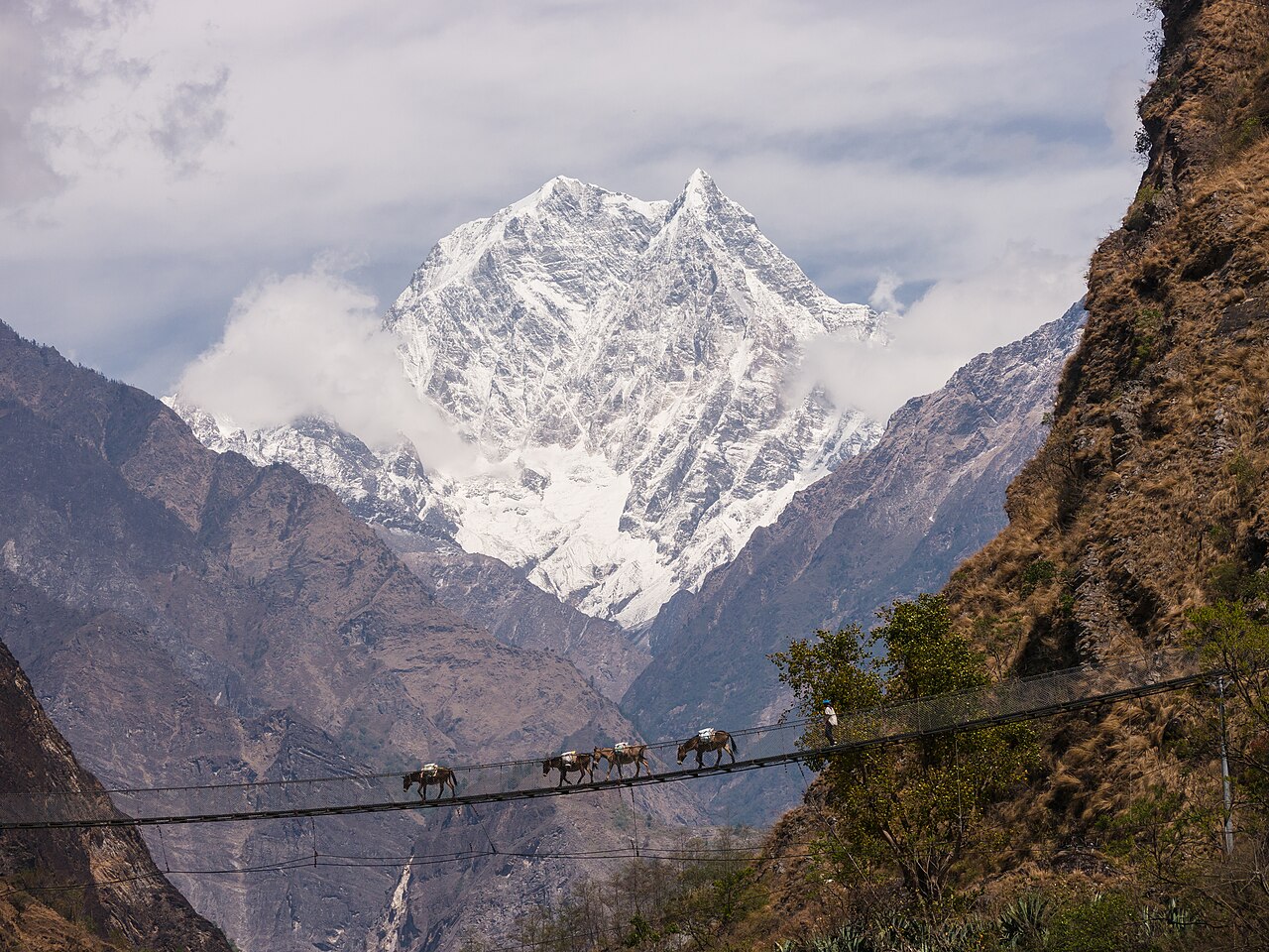 Foto fra Nepal – 160316-031 Bridge near Tatopani