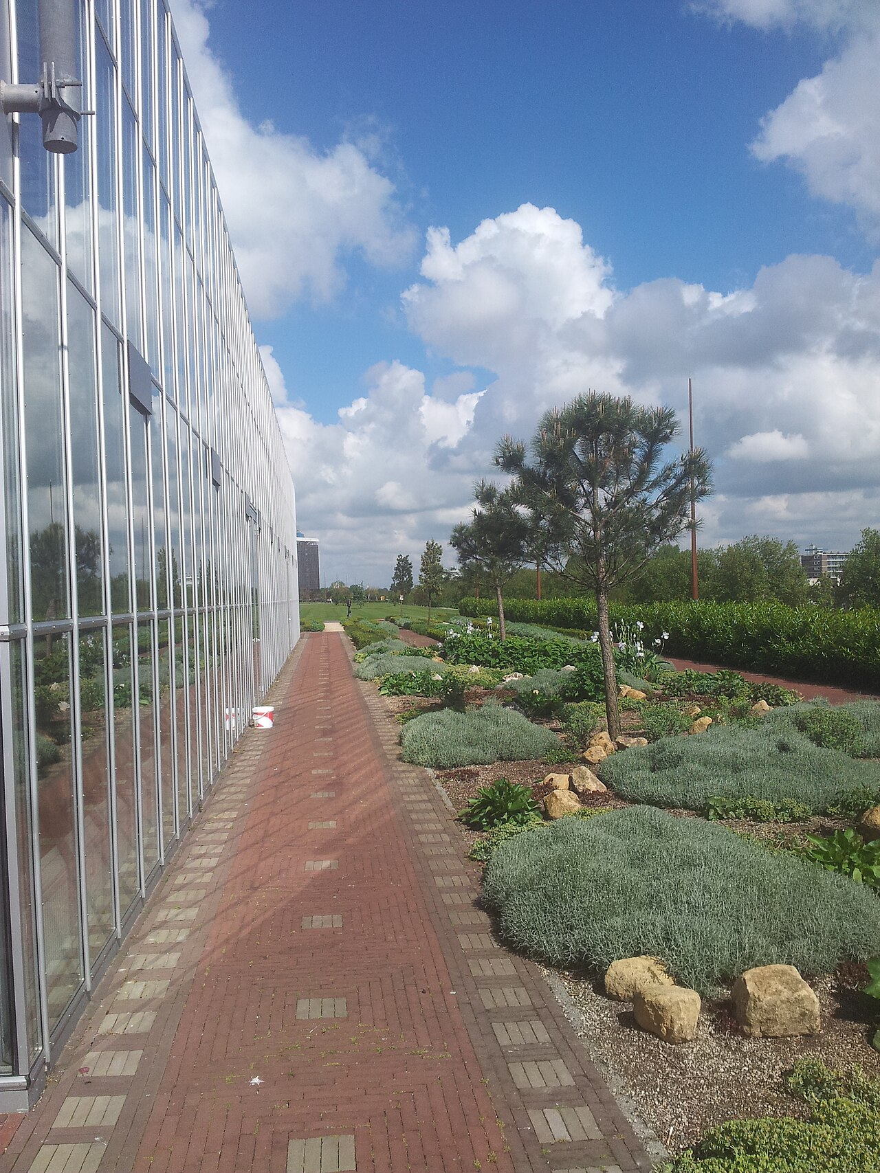 Foto fra Rotterdam, Nederland – Dakpark Rotterdam