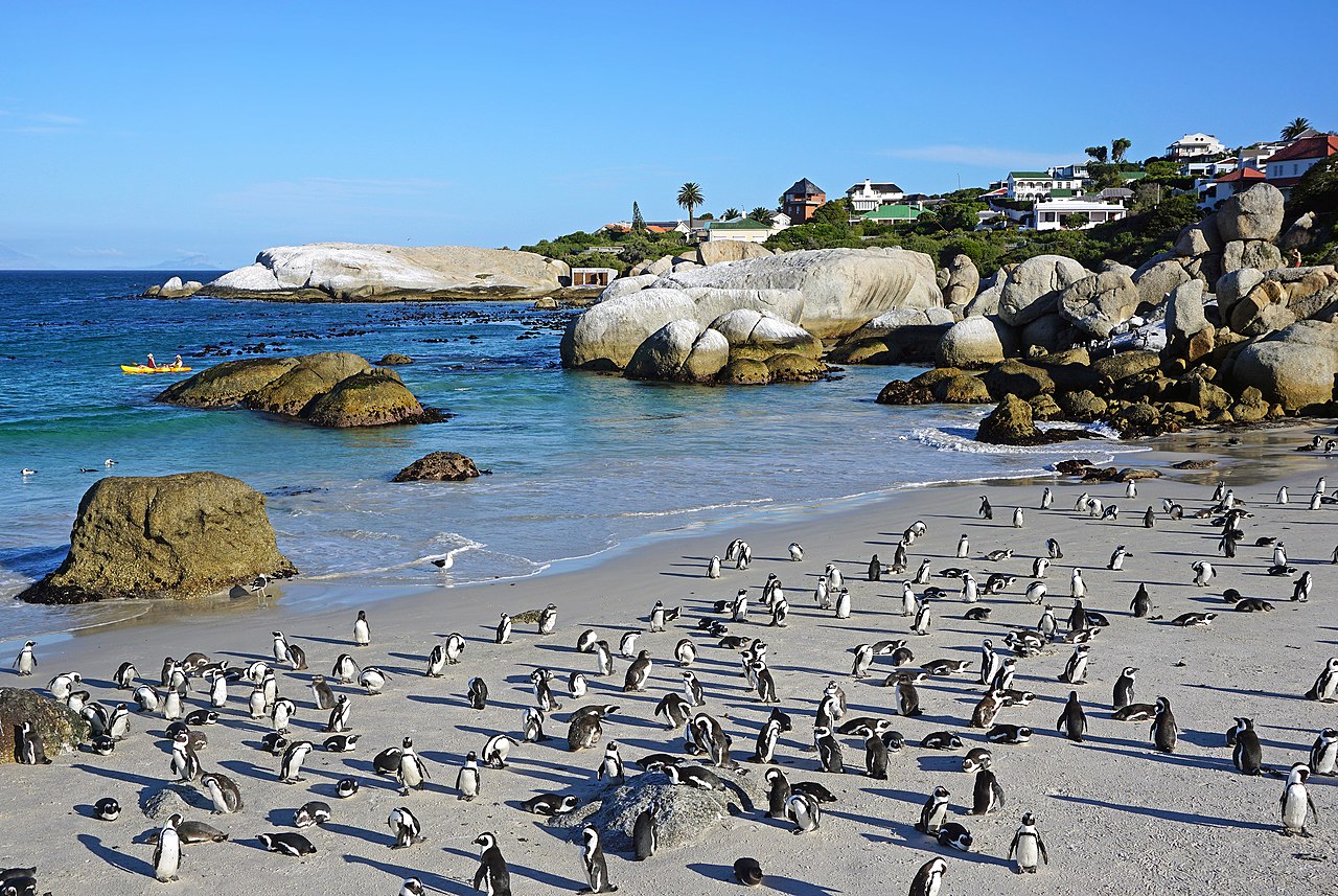 Cape Town i Sør-Afrika
