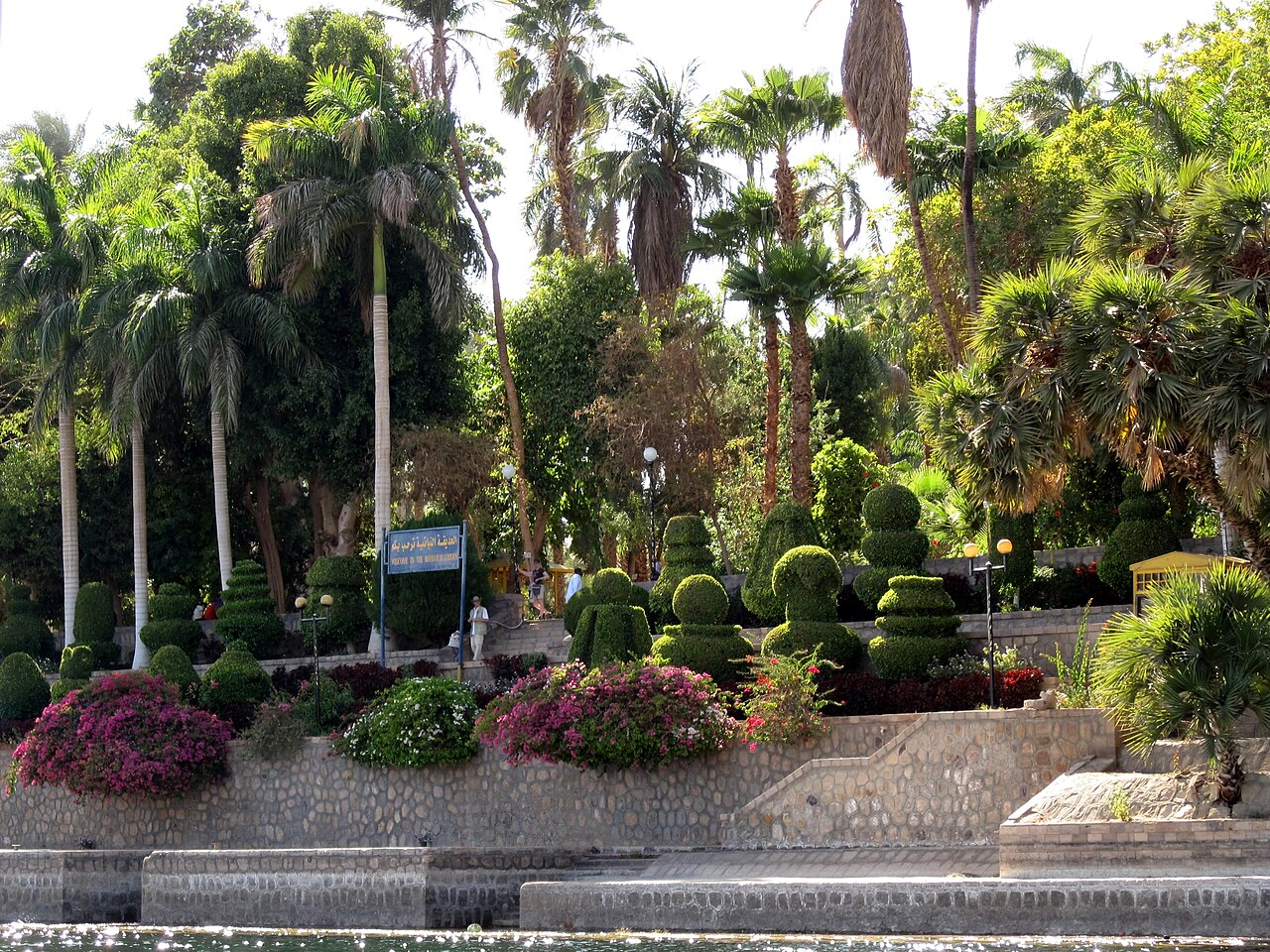 Foto fra Aswan, Egypt – Aswan Botanical Garden 12