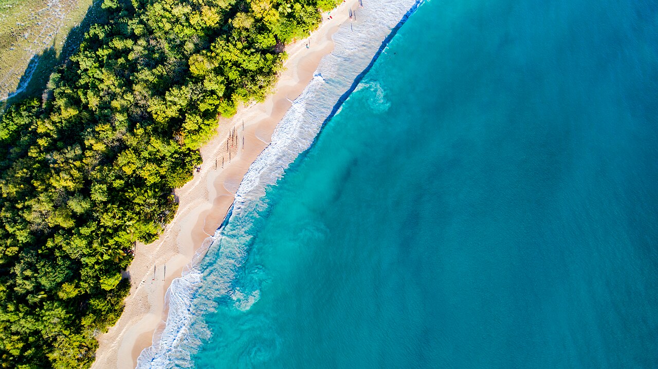 Foto fra Martinique – Salines beach