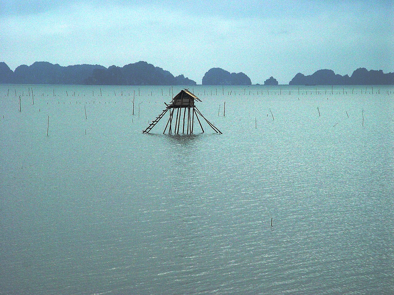 Foto fra Halong Bay, Vietnam – Ha-Long-Bay8