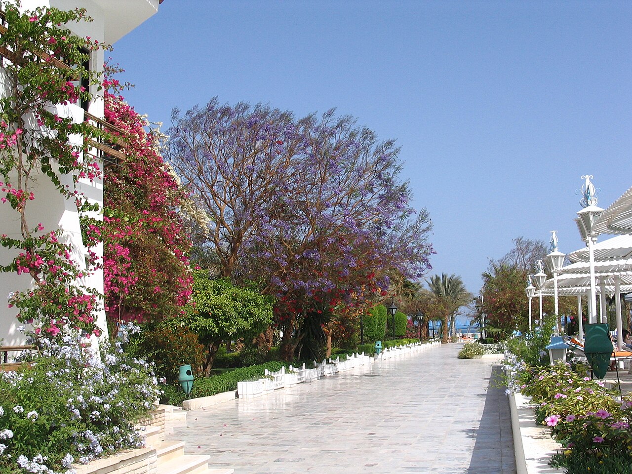 Foto fra Hurghada, Egypt – -03-30 Urlaub Aegypten