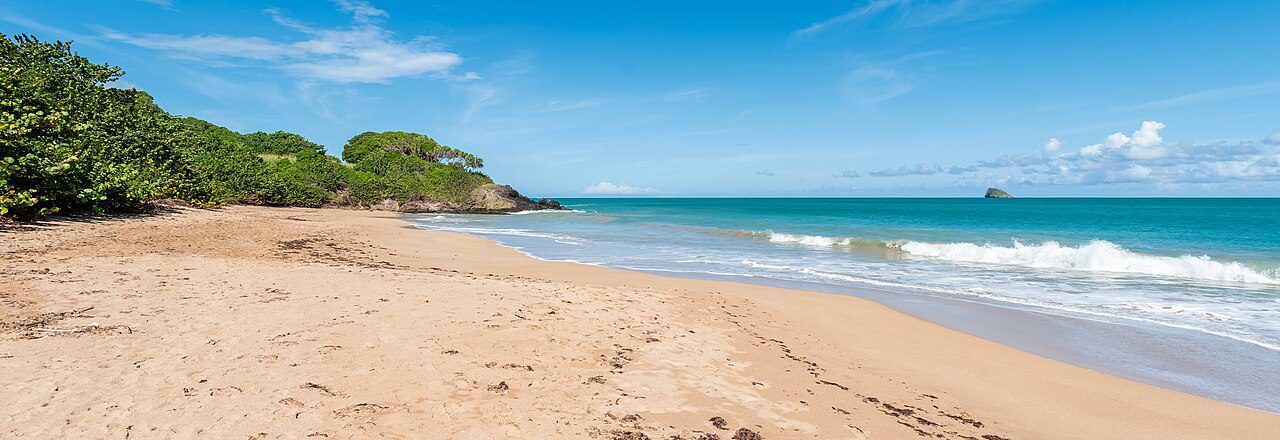 Foto fra Guadeloupe – Plage de Cluny
