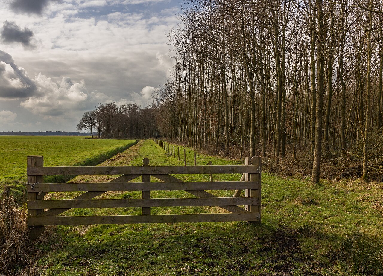 Foto fra Nederland: Afrastering om natuurgebied. Locatie, natuurgebied Delleboersterheide – Catspoel