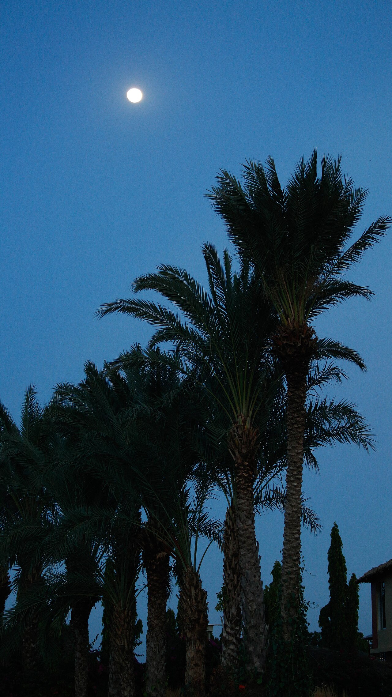 Foto fra Nigeria – Beauty at Dusk