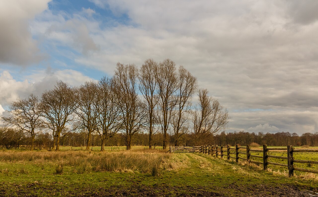 Foto fra Nederland: Afrastering om natuurgebied. Locatie, natuurgebied Delleboersterheide – Catspoel