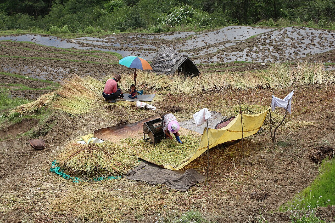 Foto fra Bhutan – Agriculture in Bhutan 04