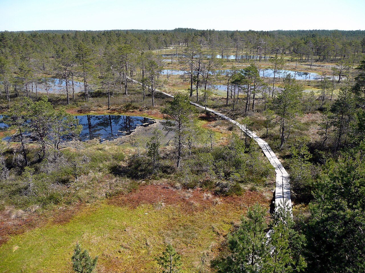 Foto fra Lahemaa Nasjonalpark, Estland – EE-Lahemaa-Bagno Viru
