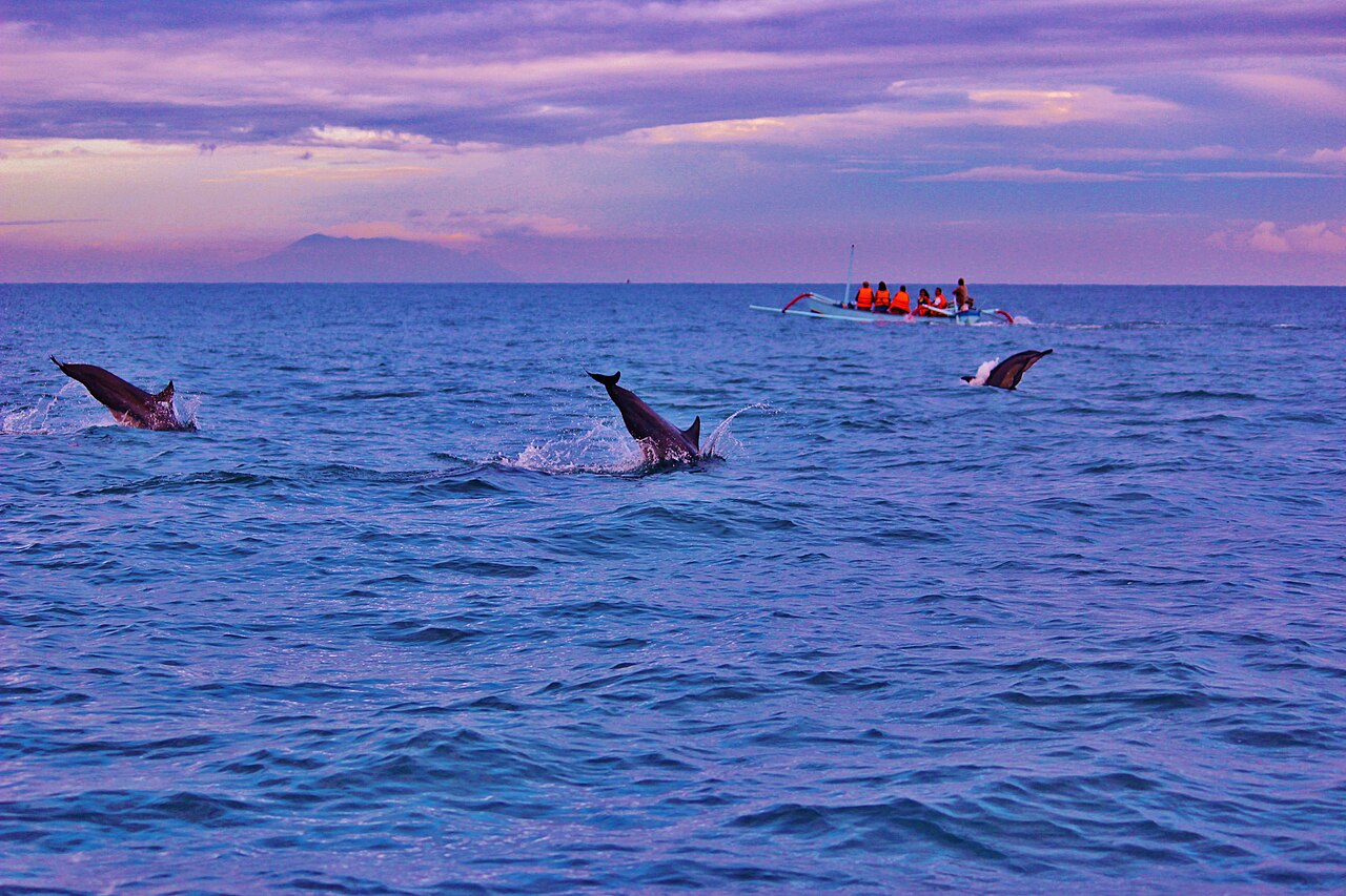 Foto fra Bali, Indonesia – Dolphins and Sunrise in Lovina, Indonesia Bali - panoramio